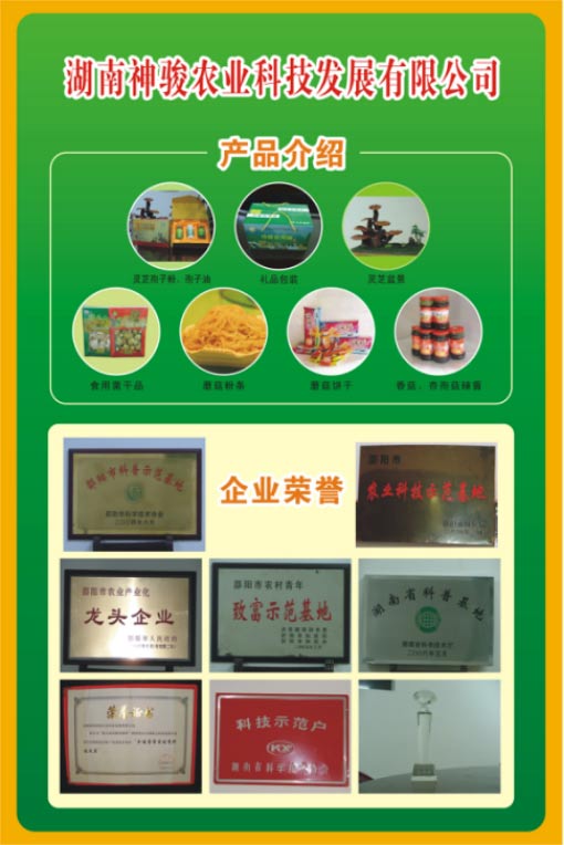 湖南神骏农业科技发展有限公司,湖南神骏农业,湖南农业科技,灵芝,茯苓,双孢菇,杏鲍菇,食用菌哪家好