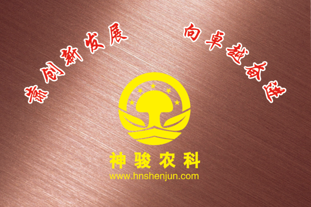 湖南神骏农业科技发展有限公司,湖南神骏农业,神骏农业,邵阳食用菌,邵阳食用菌种植基地 湖南神骏农业科技发展有限公司,湖南神骏农业,神骏农业,邵阳食用菌,邵阳食用菌种植基地