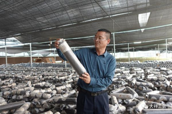 湖南神骏农业科技发展有限公司,湖南神骏农业,神骏农业,邵阳食用菌,邵阳食用菌种植基地 湖南神骏农业科技发展有限公司,湖南神骏农业,神骏农业,邵阳食用菌,邵阳食用菌种植基地
