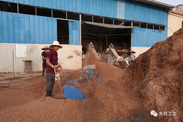 湖南神骏农业科技发展有限公司,湖南神骏农业,神骏农业,邵阳食用菌,邵阳食用菌种植基地 湖南神骏农业科技发展有限公司,湖南神骏农业,神骏农业,邵阳食用菌,邵阳食用菌种植基地